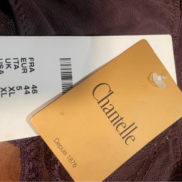 Chantelle ICONE unlined embroidered Demi bra & XL Chantelle lace detail panty. - Picture 9 of 10